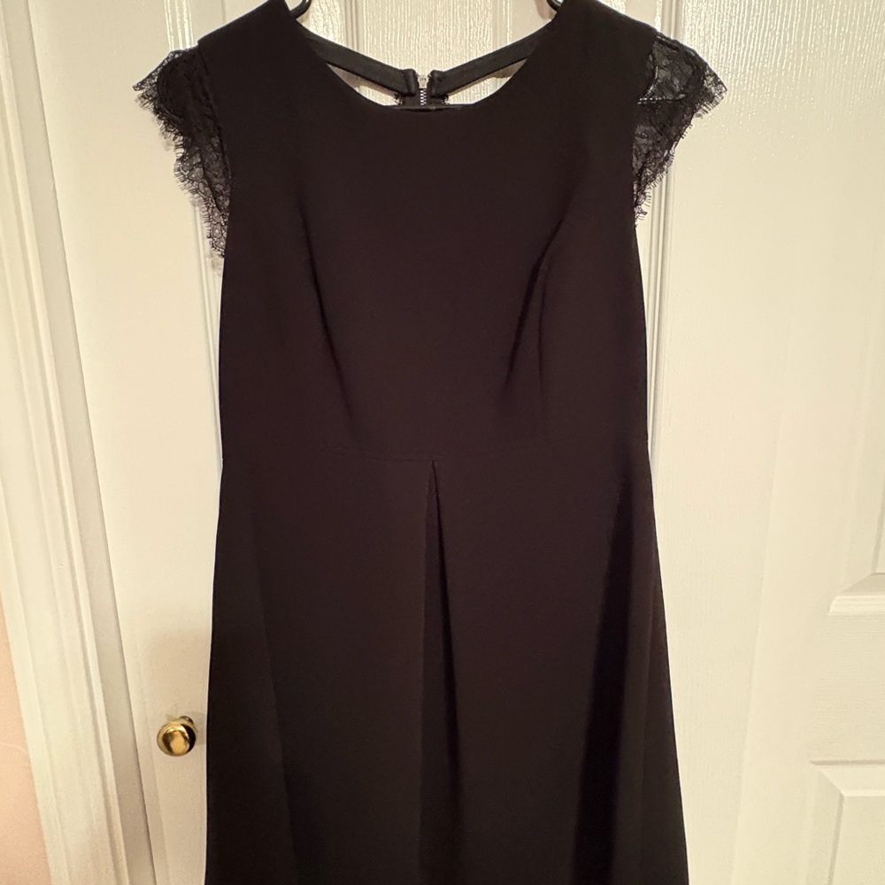Elegant Black Lace Sleeve Dress